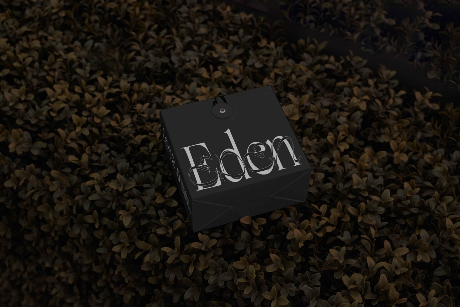 Elegant black gift box packaging mockup with floral font design, placed on lush green leaves. Ideal for branding, graphics, templates, and designers.