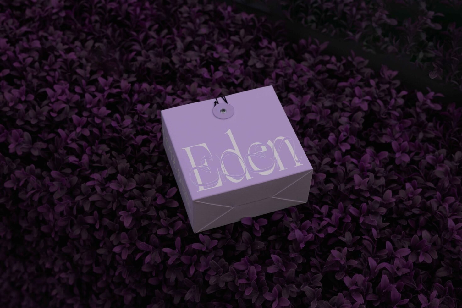 Purple box with Eden logo on dark floral background perfect for packaging mockups or graphic design templates for creative designers SEO keywords.