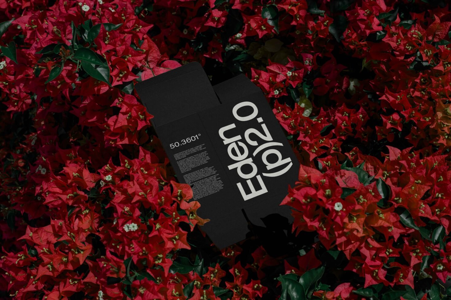 Black packaging design mockup with bold white text Eden p 2.0 surrounded by vibrant red flowers ideal for creative branding and design projects.