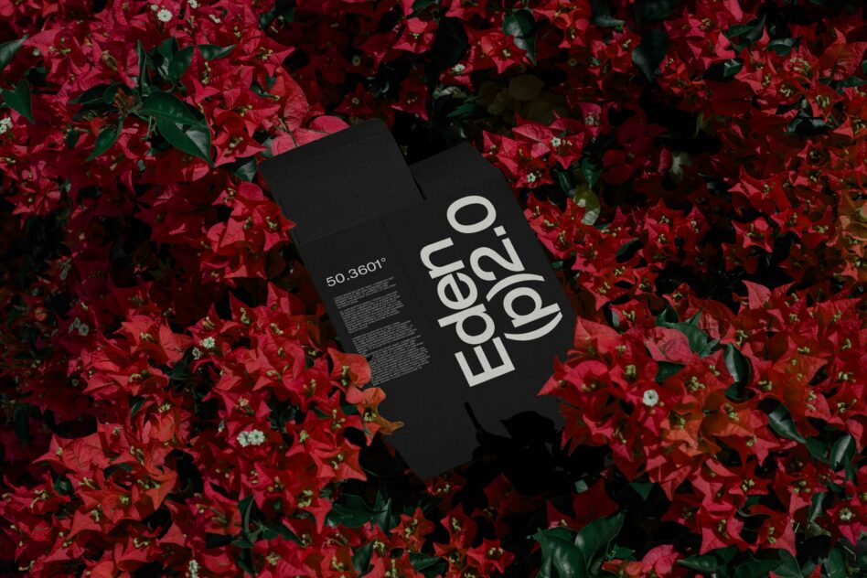 Black folded leaflets with Eden logo displayed on vibrant red poinsettia flowers