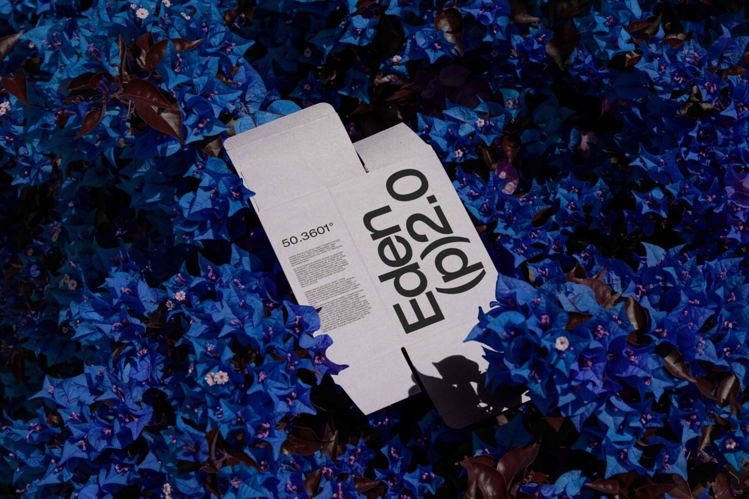 Cardboard packaging design mockup lies on vibrant blue flowers ideal for graphic designers seeking unique templates and creative design assets.