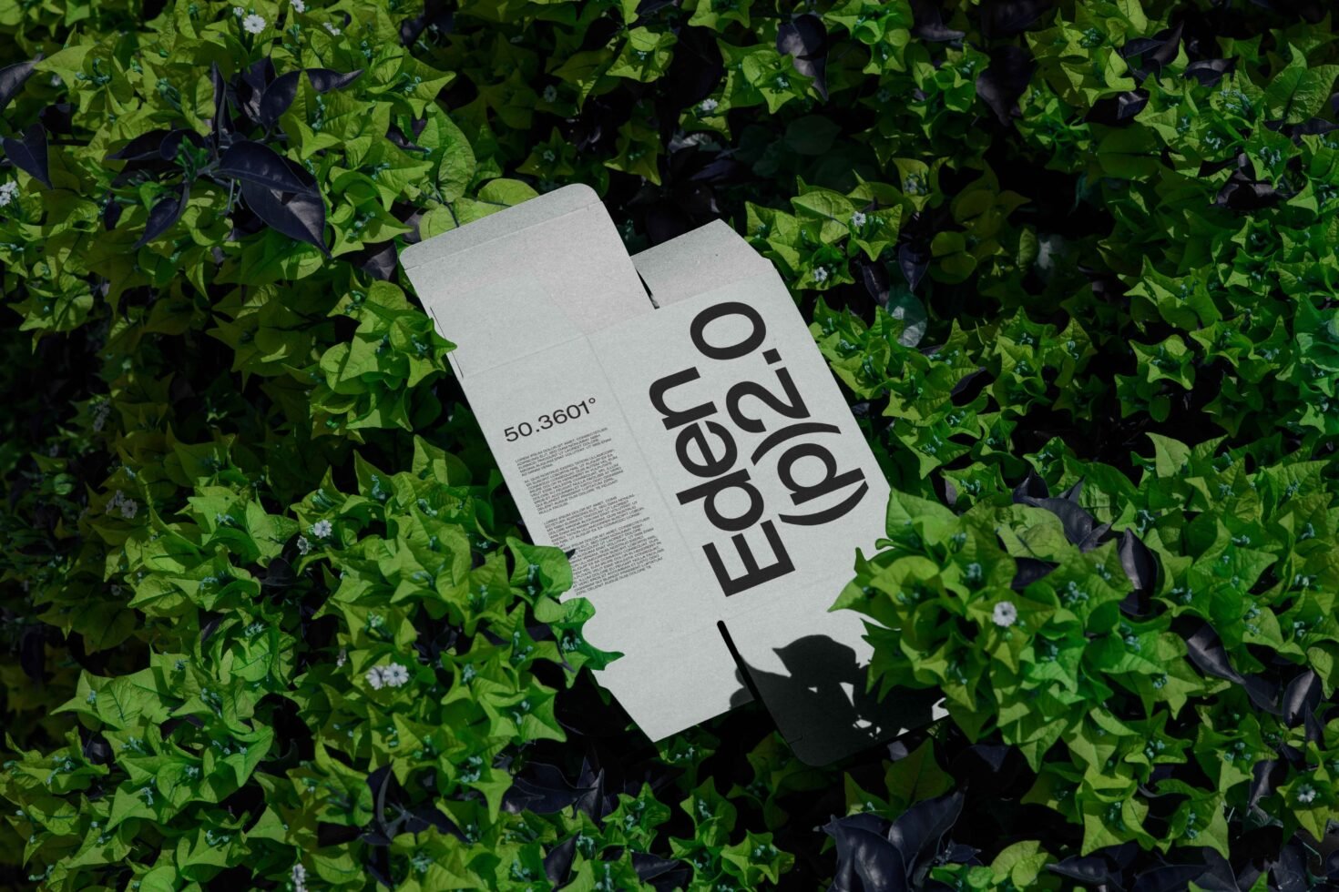 Flat cardboard mockup with bold typography lies among lush greenery ideal for eco-friendly packaging template and design concepts. Keywords: mockup, template, design.