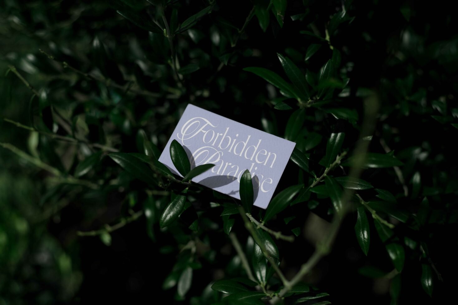 Elegant business card mockup with cursive font reading Forbidden Paradise placed on lush green foliage perfect for branding design and marketing projects.