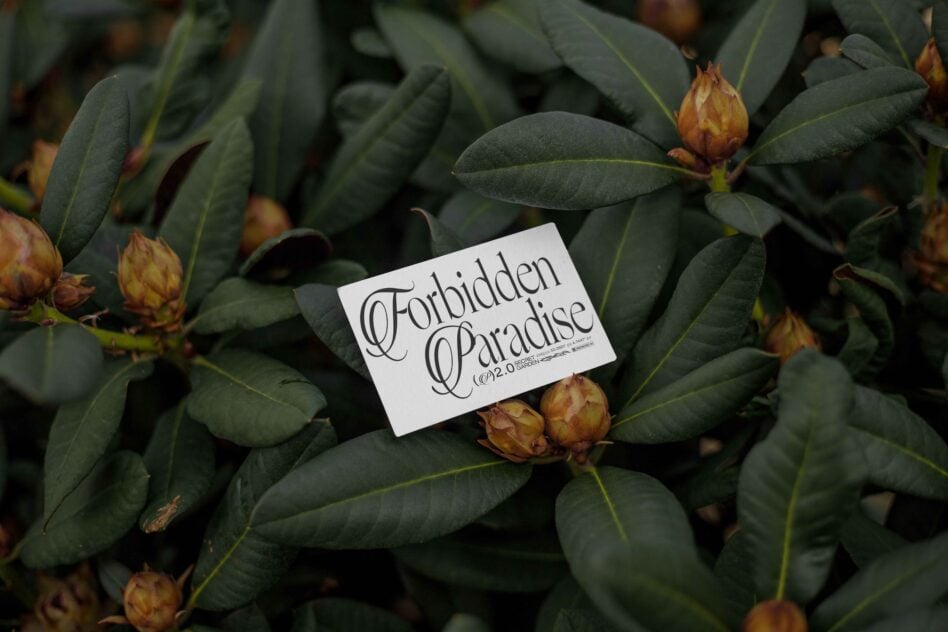 White business card with serif typography on leafy plant with burnt buds