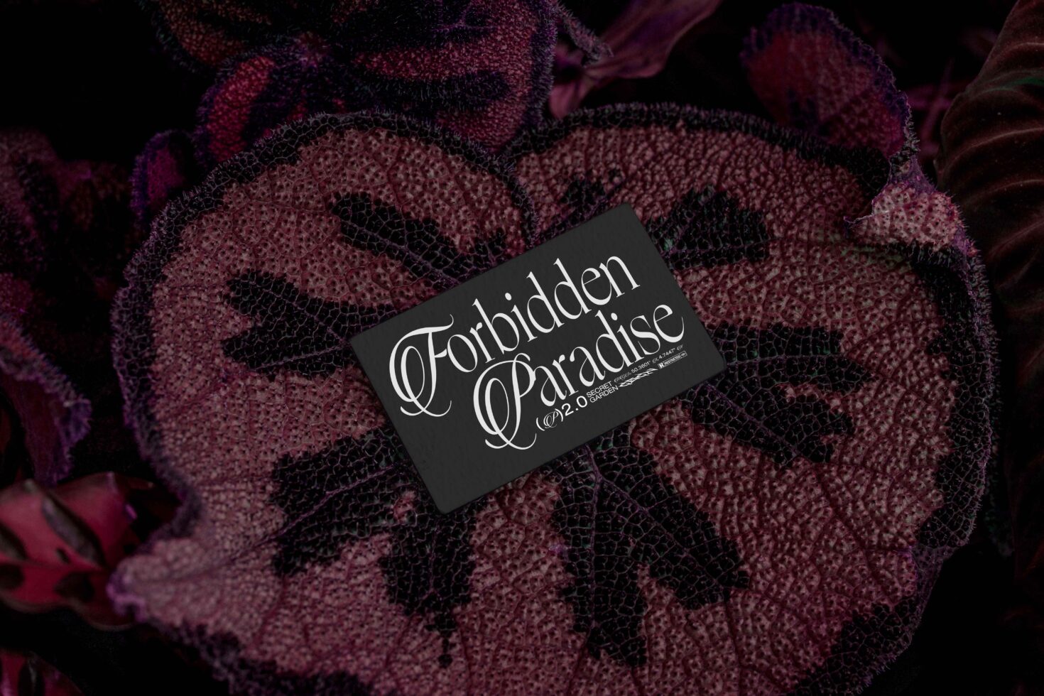 Dark card with ornate white lettering on textured burgundy plant surface with detail