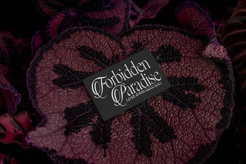 Dark card with ornate white lettering on textured burgundy plant surface with detail