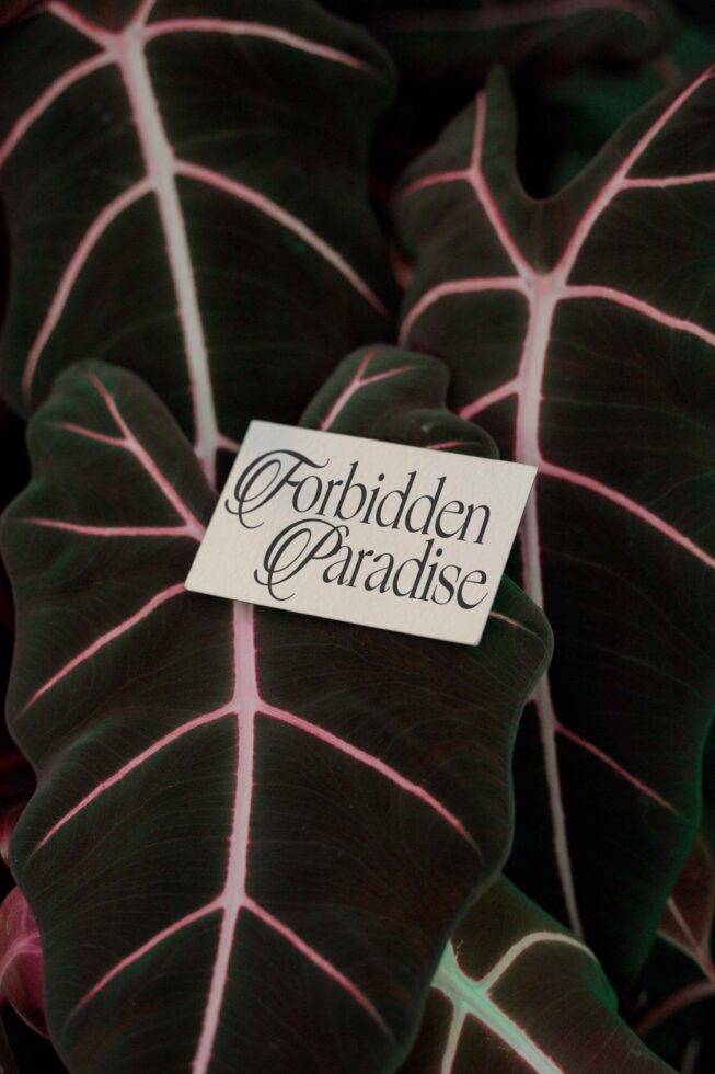 Cream card featuring flowing cursive script resting on botanical leaves with pink veining