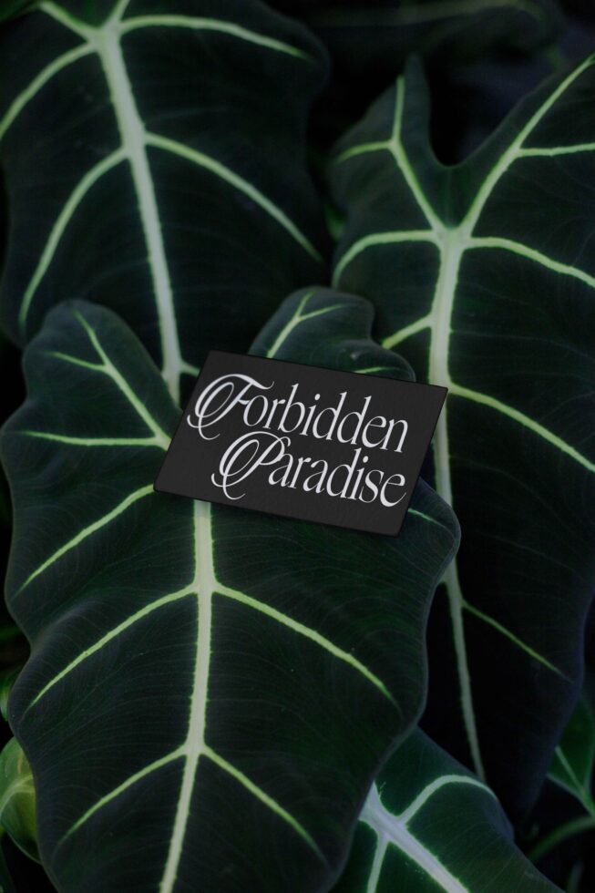 Black business card with elegant script lettering on dark green plant leaves with bright veins