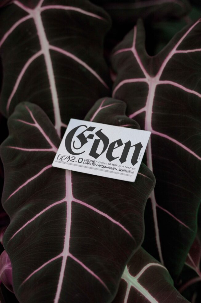 White business card with bold serif type on pink-veined leaves in natural light