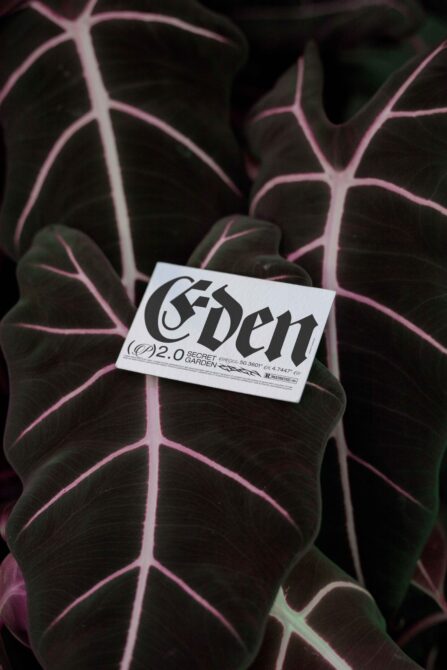 Business card mockup on dark pink-veined plant leaves with moody botanical styling