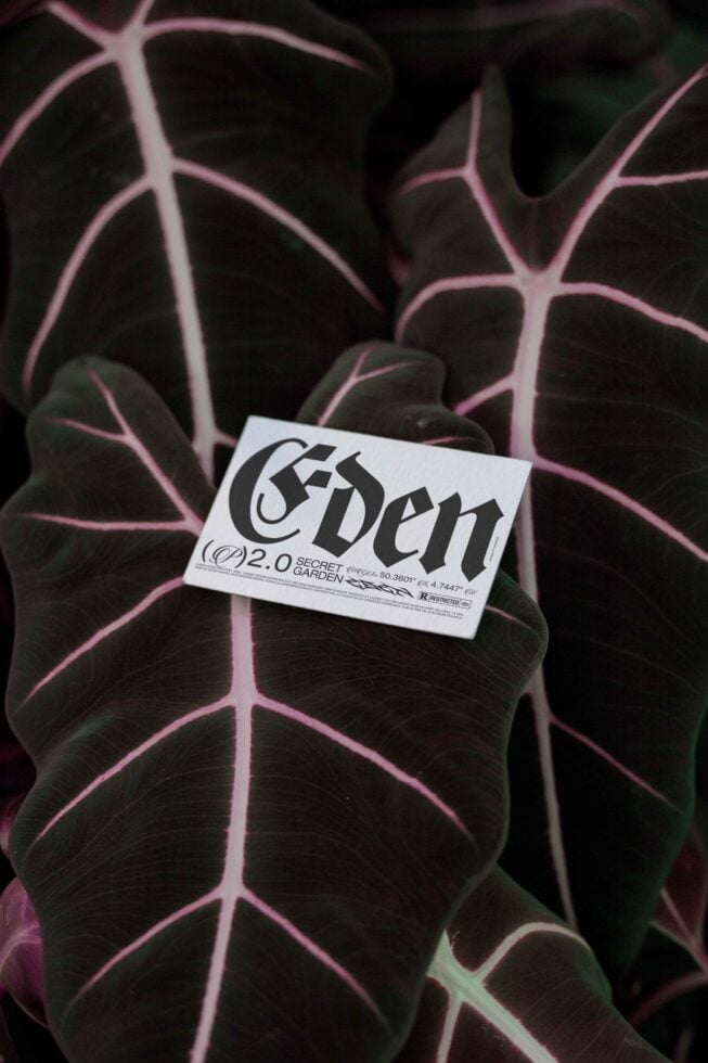 Business card mockup on dark pink-veined plant leaves with moody botanical styling