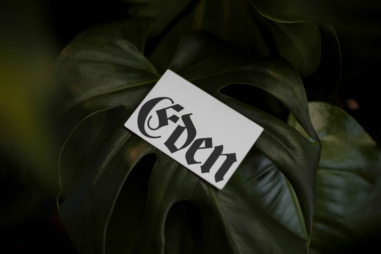 White Eden card mockup on large green plant leaves