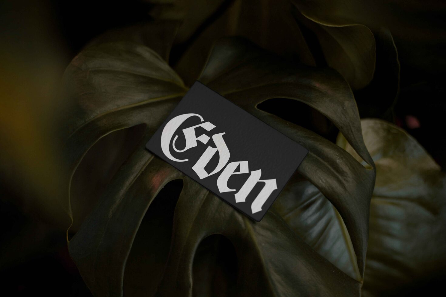 Dark charcoal Eden card resting on layered botanical backdrop