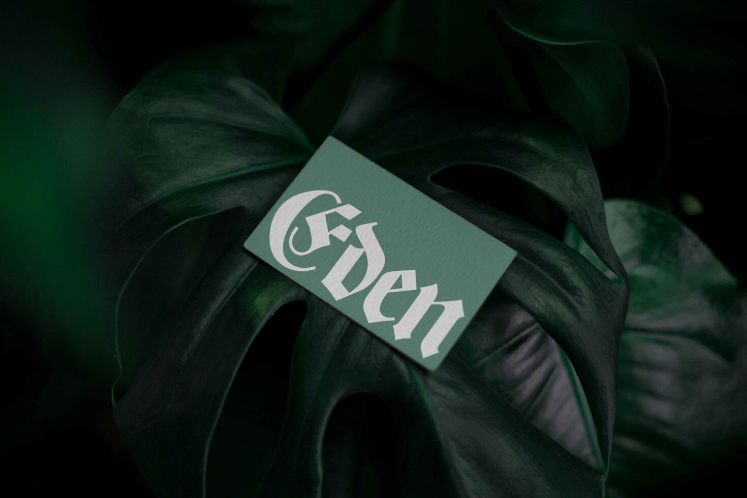 Sage green Eden card mockup among moody plant leaves