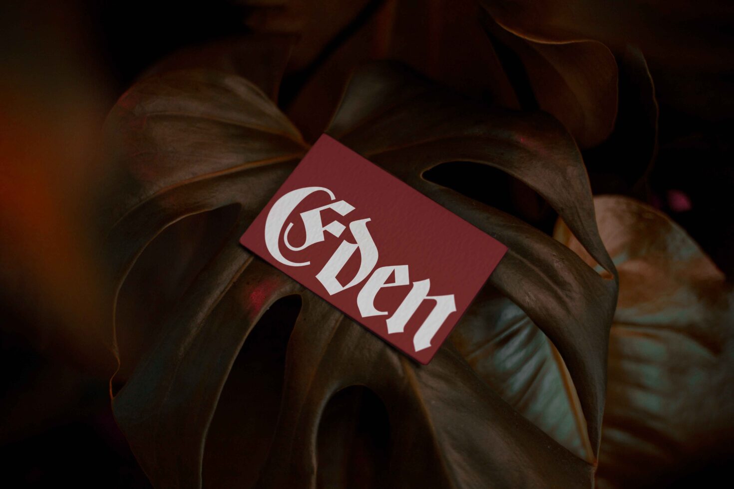 Burgundy Eden business card displayed on textured foliage