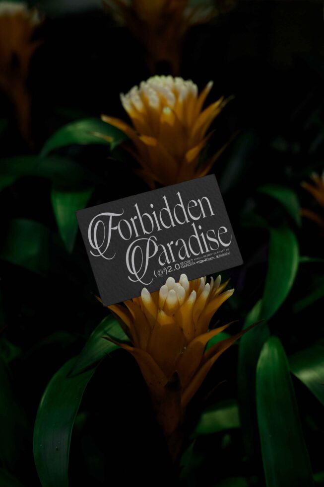 Elegant script font on black card with lush, green tropical background. Perfect for designers seeking creative typography, fonts, and mockups.