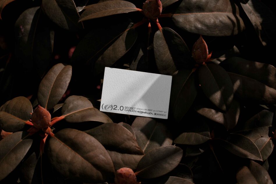 White card with Secret Garden text on dark succulent plant leaves, sunlit