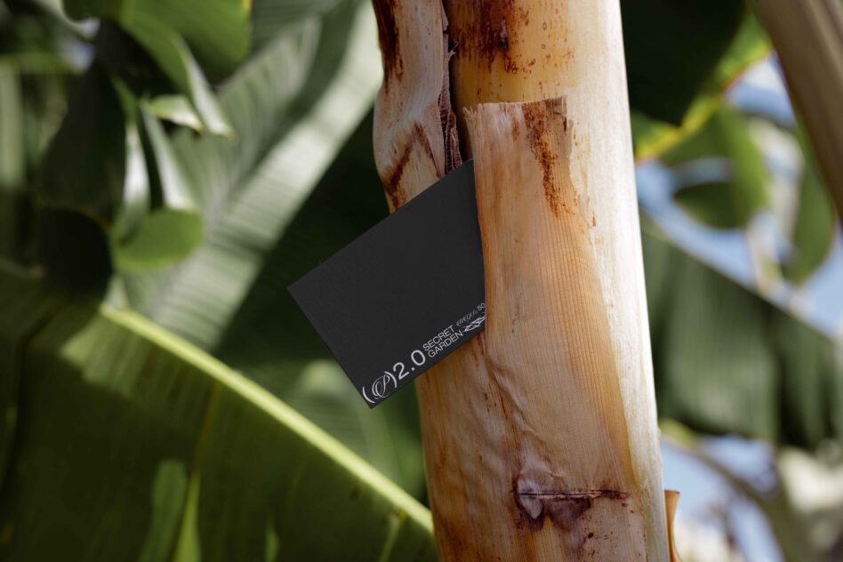 Dark card on textured wood surrounded by green foliage, garden setting