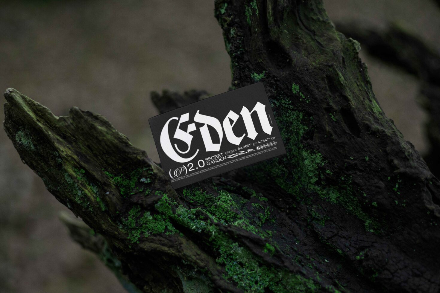Black business card with Eden lettering positioned on moss-covered weathered wood