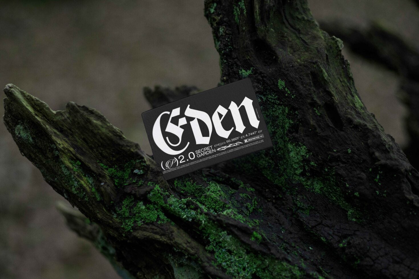 Dark card with Eden type resting on green moss covered rustic wood branch