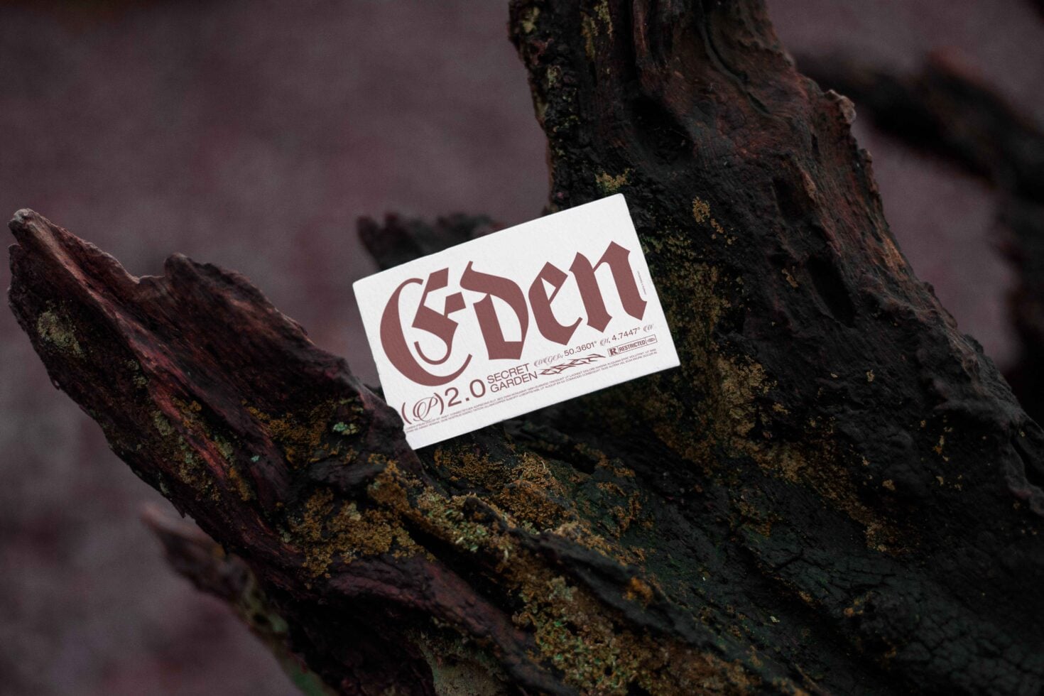 White business card displaying Eden branding on textured bark with lichen