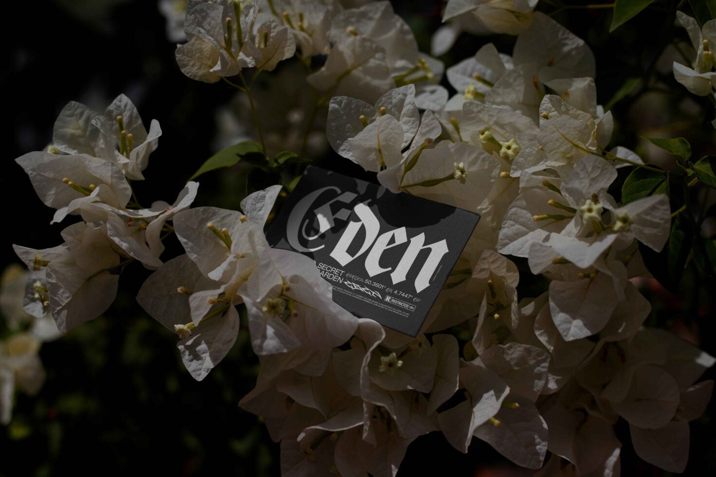 Black business card with Eden branding resting on pale cream flower petals
