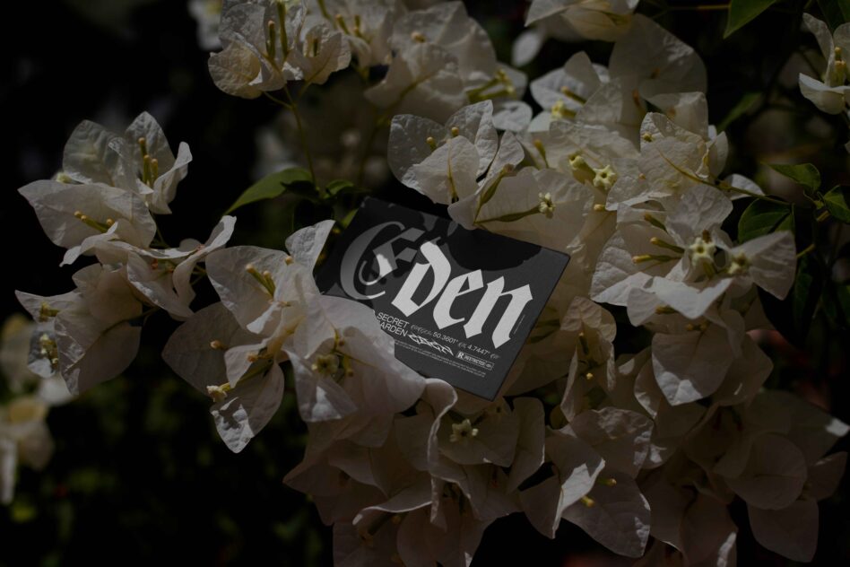 Black business card with Eden branding resting on pale cream flower petals