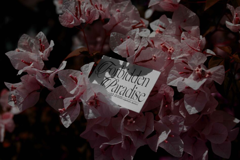 Business card with Forbidden Paradise text nested in dusky pink flowers