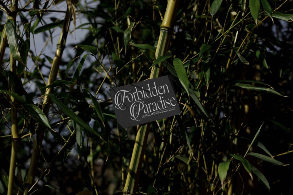 Black business card with Forbidden Paradise script typography on green bamboo stems