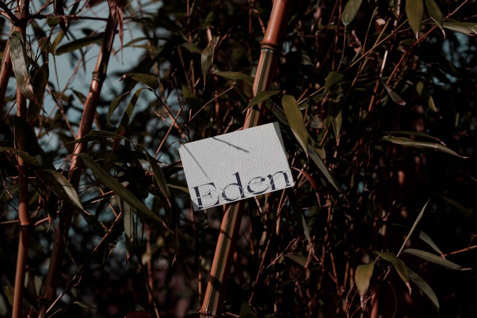White business card with Eden typography placed among rust-colored dried plant stalks