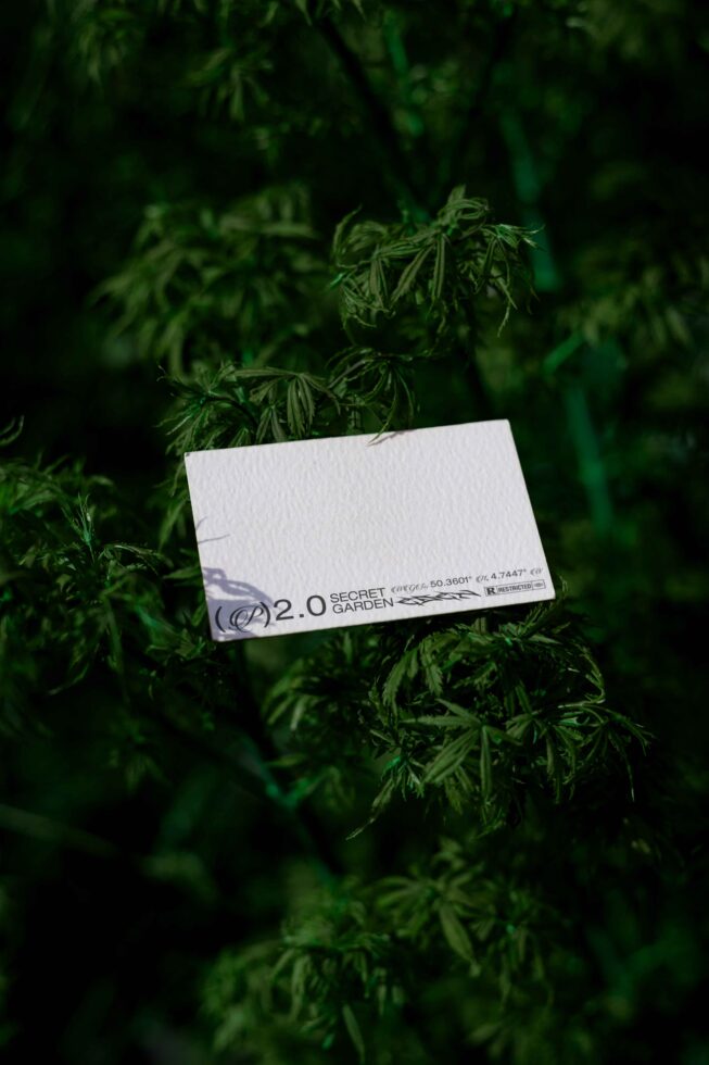 White business card with 'Secret Garden' text nestled among lush green foliage