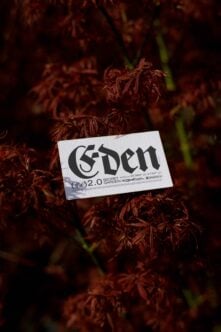 Business card with Eden text in a gothic font on red foliage background digital assets for designers mockups graphics typography design element