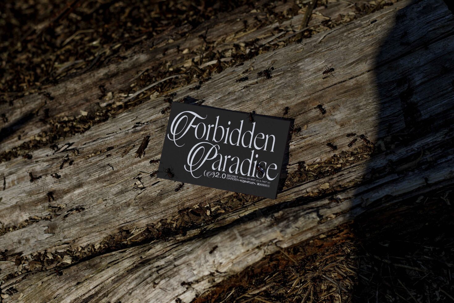 Black business card with 'Forbidden Paradise' in elegant script on weathered wood