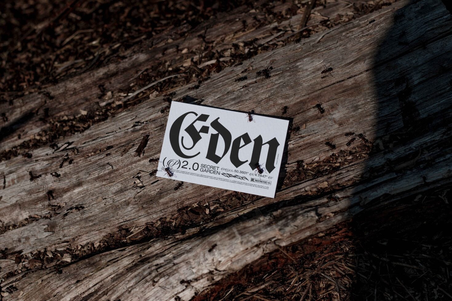 White business card with 'Eden' bold lettering on textured wood surface