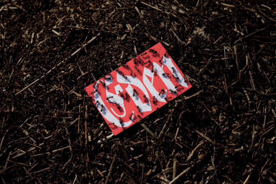 Vibrant red business card with bold design lying on brown soil surface