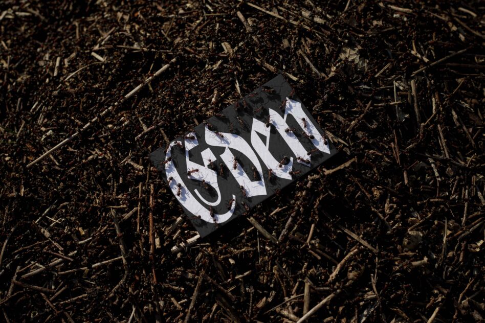 Black red business card with geometric pattern scattered across dark mulch