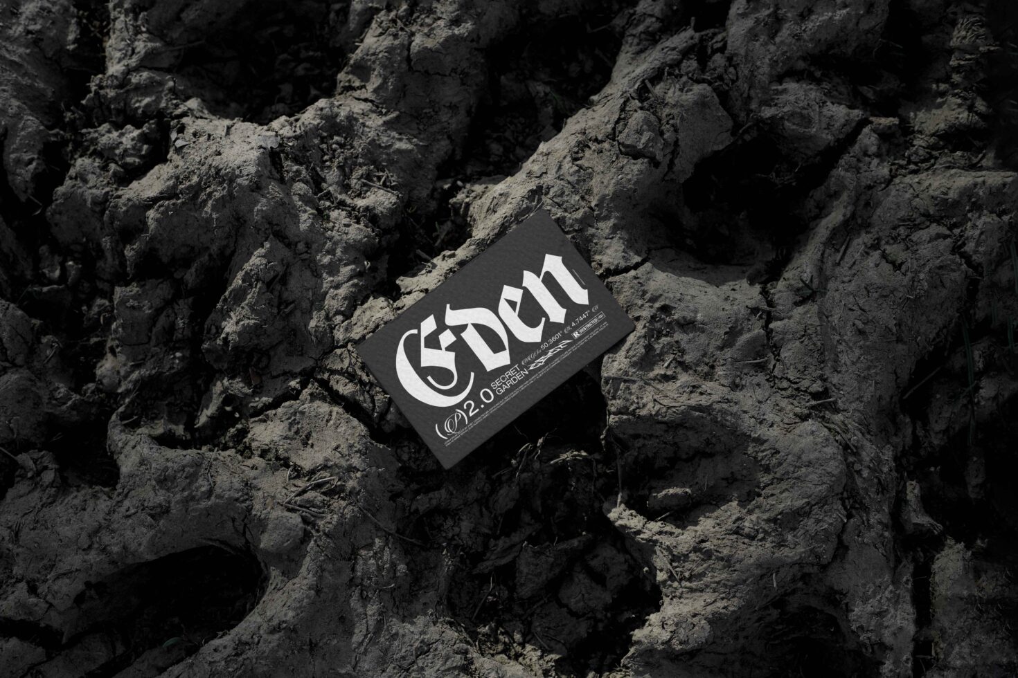 Black business card with white Eden logo placed on rough gray stone texture