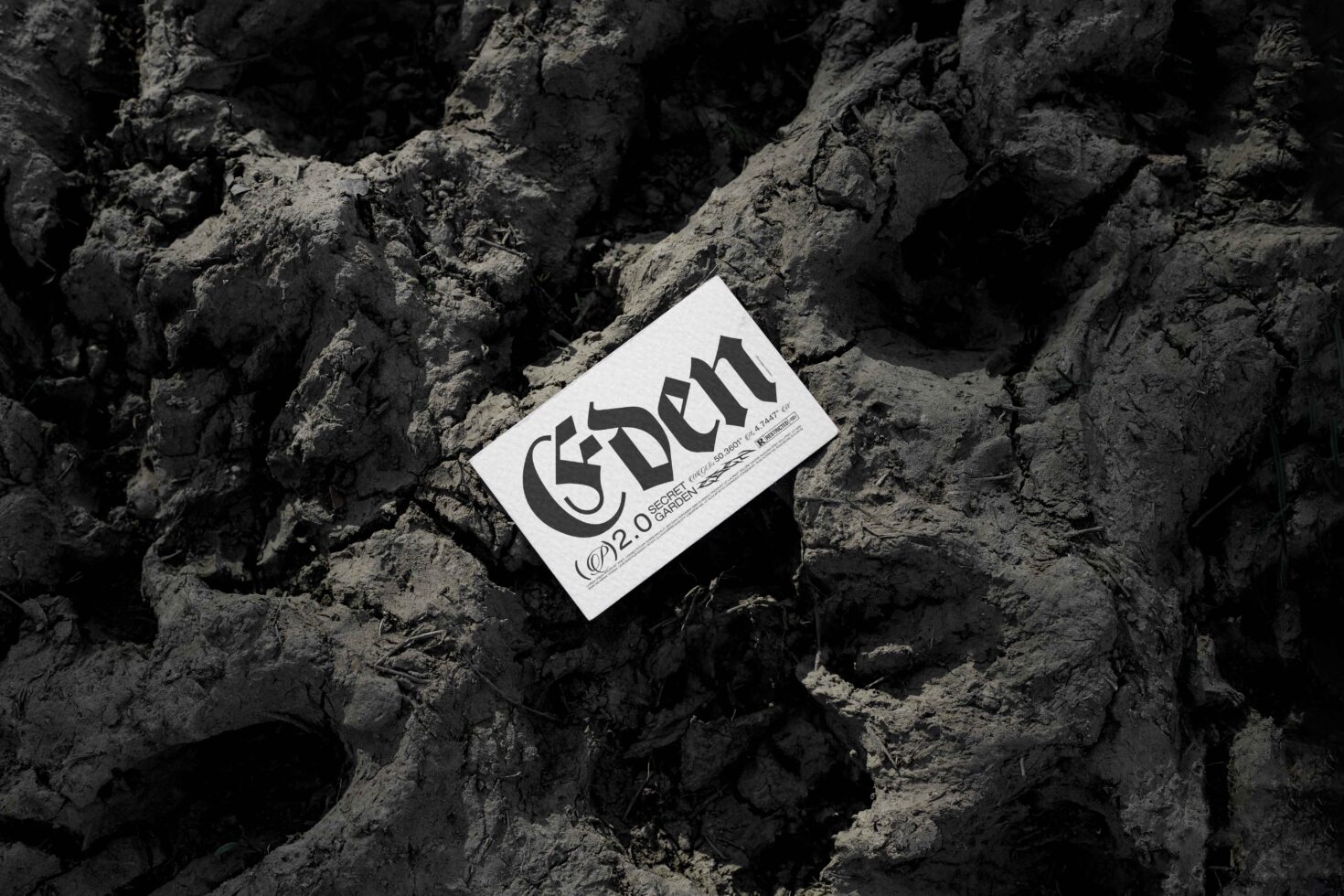White business card with Eden branding resting on concrete rubble surface