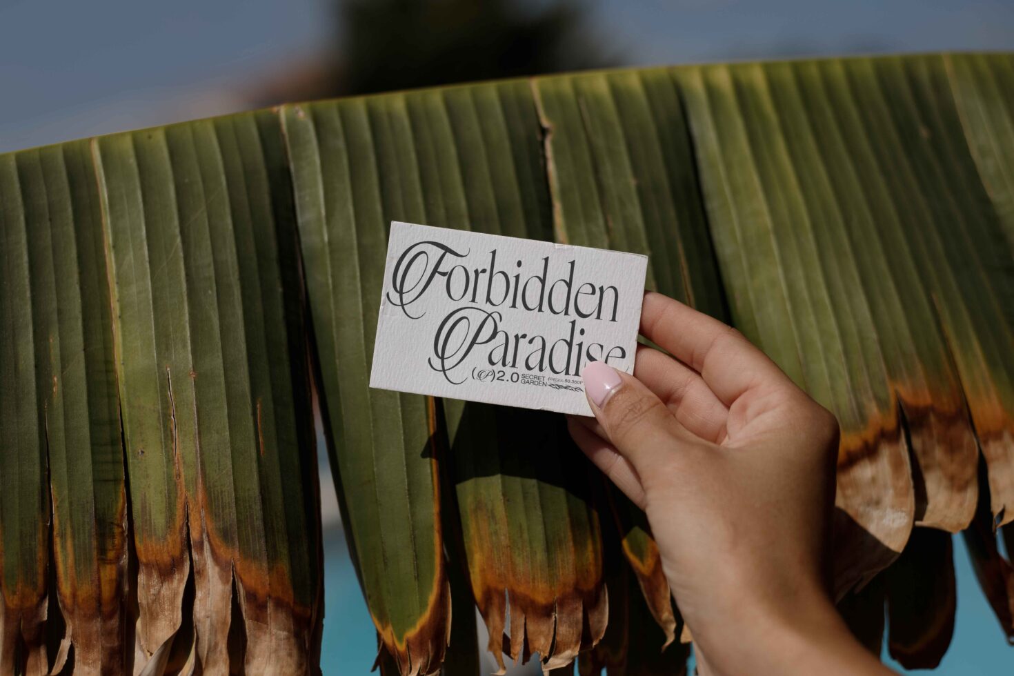 White business card with elegant script held in hand against large green plant leaf