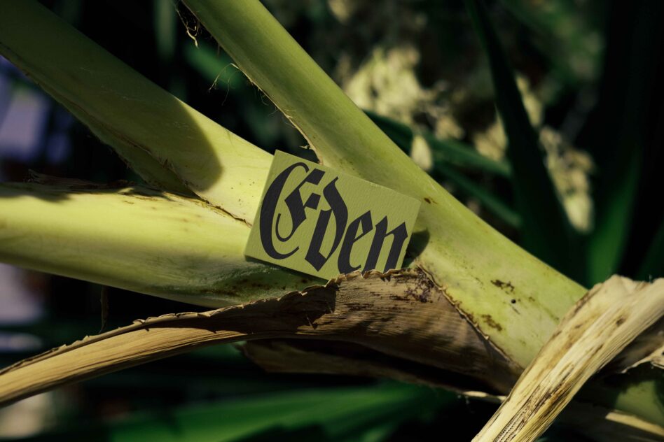 Yellow label with dark script typography clipped onto vibrant green botanical leaf