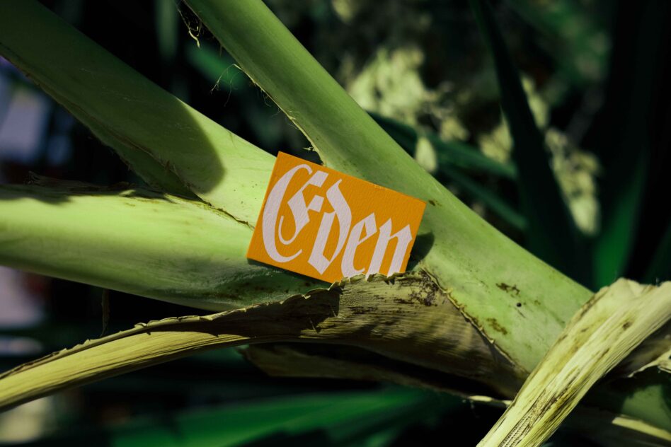 Bright orange label with white script lettering stuck on fresh green plant stem