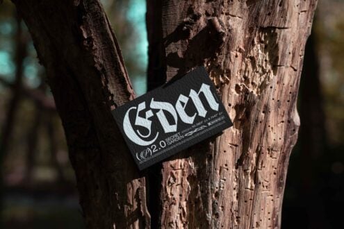 Black business card mockup with bold Gothic font, leaning against textured tree bark in outdoor setting. Perfect for branding, design projects, templates.