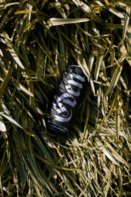 Dark can with white striped logo resting in dried golden grass