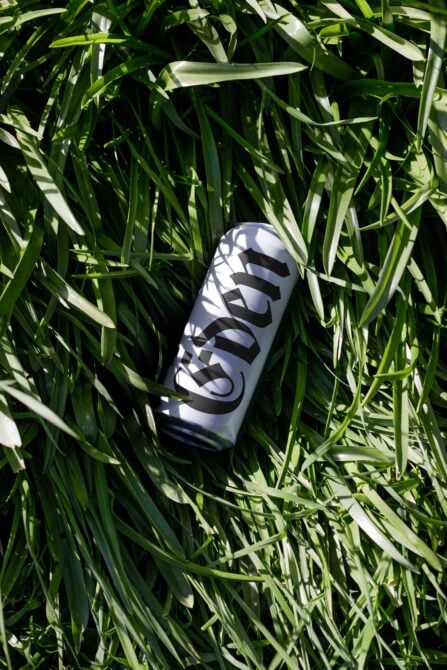 Black can with white striped logo lying in bright green grass
