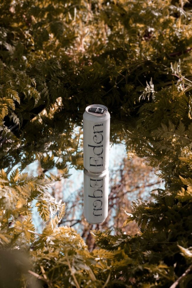 Mockup of a soda can with modern typography reflected on glass surrounded by lush greenery. Perfect for designers seeking outdoor-themed product presentation.