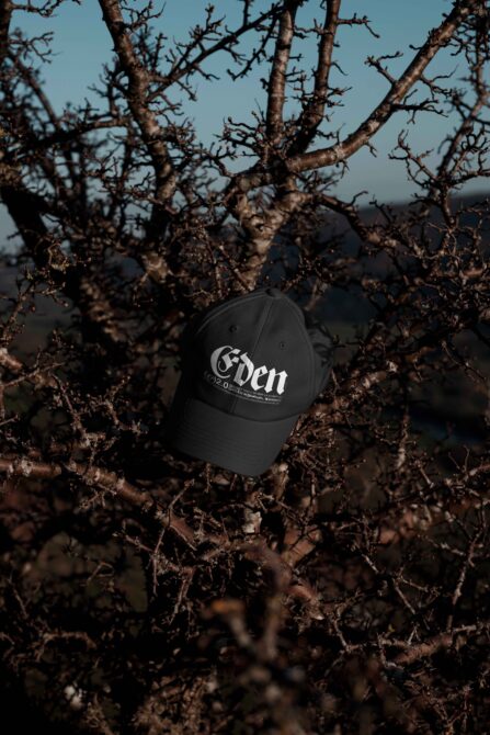 Black baseball cap with Eden script resting on aged twisted branches in sunlight