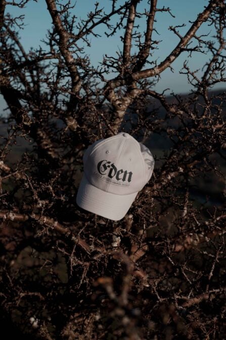 White cap displaying Eden wordmark cradled by dry skeletal tree limbs outdoors