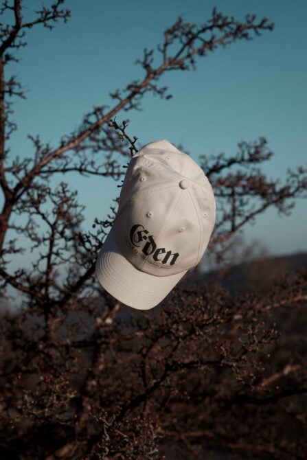 Off white baseball cap with Eden branding suspended between gnarled tree branches