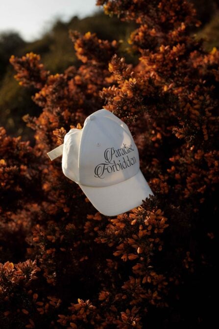 White cap with stylish script text Paradise Forbidden nestled in autumn foliage, perfect for design mockups, nature-themed graphics, cap templates.