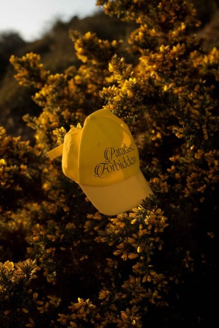 Yellow cap with Paradise Forbidden text nestled in flowering bushes under warm sunlight. Perfect for nature-themed design mockups and graphics.